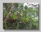 DSCF4917