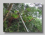DSCF4922