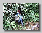 DSCF4956
