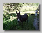 DSCF5024