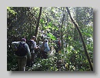 DSCF5036