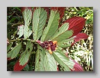 DSCF5048