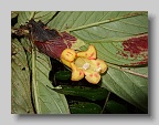 DSCF5049