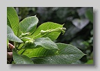 IMG_0020