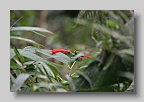 IMG_0072