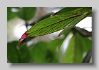 IMG_0081