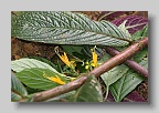IMG_0096