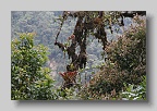 IMG_0114