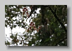 IMG_0159