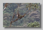 IMG_0191