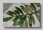 IMG_0225