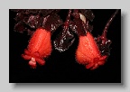 IMG_0240
