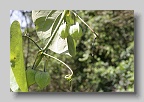 IMG_0258