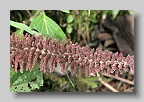IMG_0293