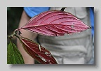 IMG_0305