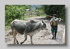 IMG_0325