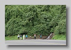 IMG_9723