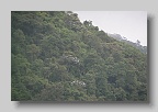 IMG_9784