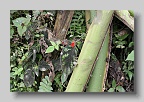 IMG_9800