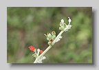 IMG_9877
