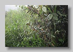 IMG_9915
