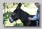 IMG_9967