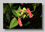 IMG_9969