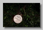 IMG_9979