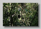IMG_9997